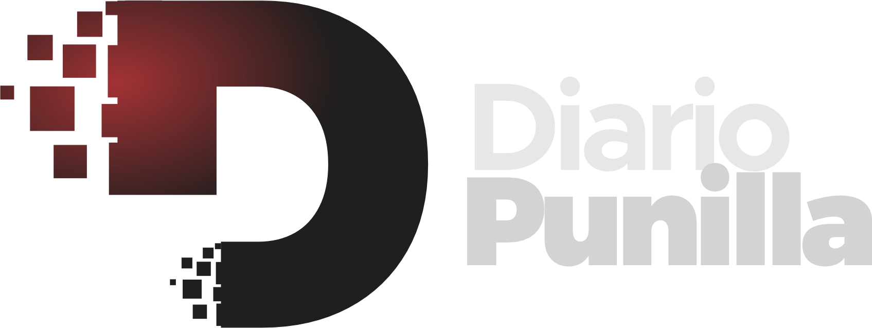 Diario Punilla